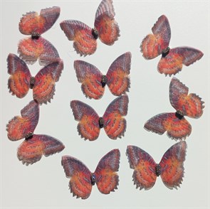 Декоративные бабочки со стразами 3х2,5см 10 штук.