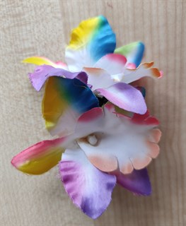 Комплект двух заколок "Тропический цветок Орхидея", радуга