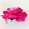 Заколка для волос брошь Роза крупная, глубокий пурпурно-розовый - фото 10398