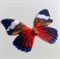Декоративные бабочки со стразами 3х2,5см 10 штук. - фото 11266