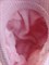 Шапка с козырьком и пимпочкой, розовая - фото 12032