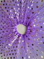 Юбка фатиновая в золотистый горох, фиолетовая - фото 4834