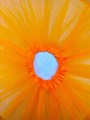 Юбка фатиновая пачка, 30 см, оранжевая - фото 5117