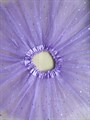 Юбка 40 см со звездочками, светло-фиолетовая - фото 5936
