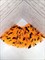 Юбка Летучая мышь, оранжевая 30 см - фото 7556