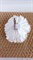 Заколка - брошь цветок Пион, диаметр 11 см, белый - фото 9966