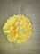 Заколка - брошь цветок Пион, диаметр 11 см, желтый - фото 9969