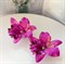 Комплект двух заколок "Тропический цветок Орхидея", фиолетовый - фото 9971
