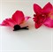 Комплект двух заколок "Тропический цветок Орхидея", малиновый - фото 9985