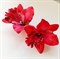 Комплект двух заколок "Тропический цветок Орхидея", красный - фото 9997
