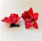 Комплект двух заколок "Тропический цветок Орхидея", красный - фото 9998